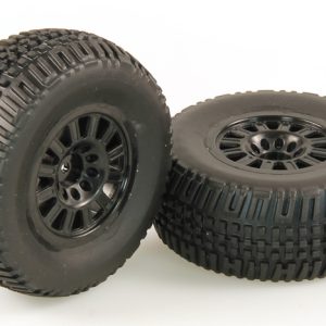 Helion  gomme montate su cerchio nero (dominus-sc)hlna0153