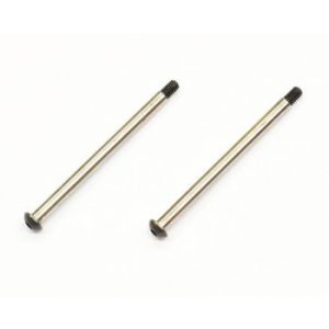 Serpent hingepin RR outer 2pz cod.600189